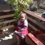 Tragedie pe Drumul Național 1H – o fetiță și-a pierdut viața în urma unui accident grav