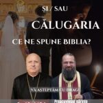 Cupa Maramureșului, ediția a V-a: Performanță de excepție pentru sportivii antrenați de Petran Ciprian