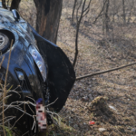 Karatiștii de la Heian Delta Jibou domină „Cupa Dani San” și privesc spre Campionatul Național