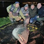 Primăvara aduce magie în Baia Mare: Târgul de Paști 2026 animă Centrul Vechi